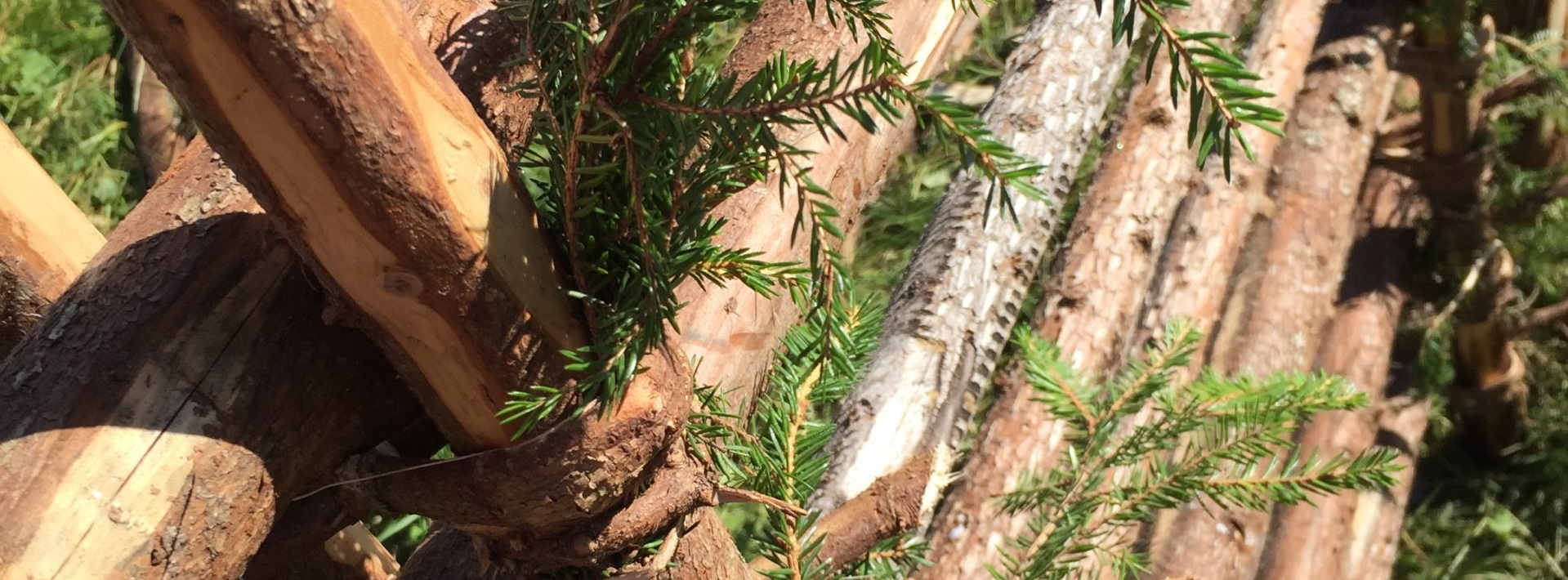 Virke och material till gärdesgårdar från Vinnersjö Gård